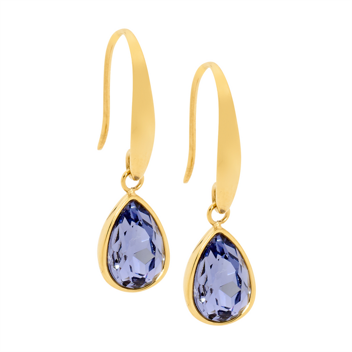 Ellani Stainless Steel Tear Drop Amethyst Glass Gp Earrings