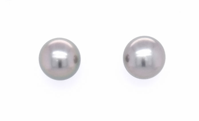9ct White Gold 12.5-13mm Black Tahitian Pearl Stud Earrings.
