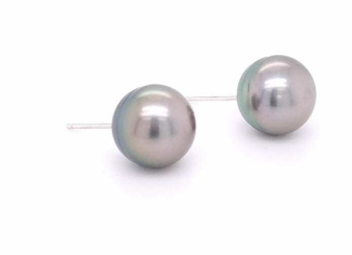 9ct White Gold 12.5-13mm Black Tahitian Pearl Stud Earrings.