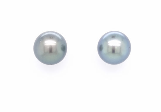 9ct White Gold 13-13.5mm Black Tahitian Pearl Stud Earrings