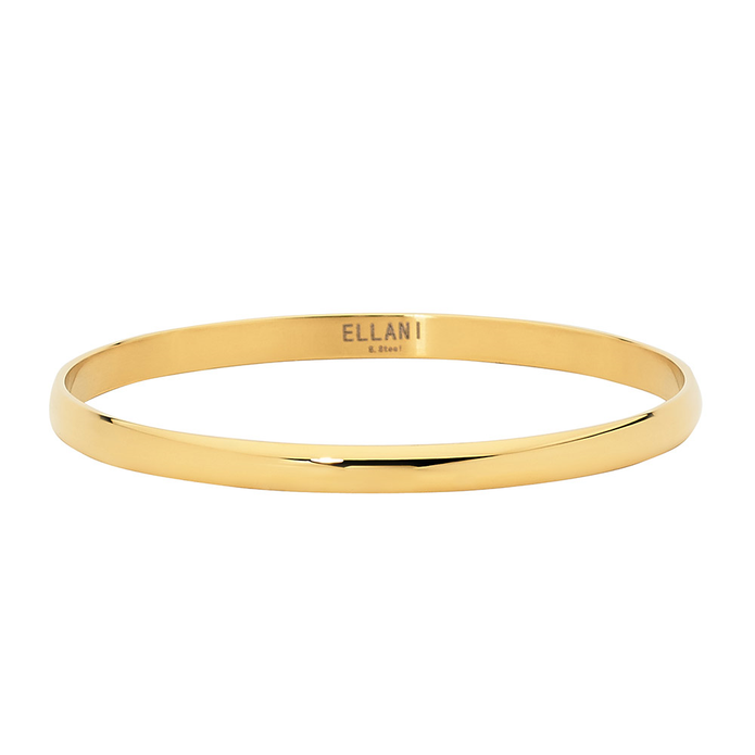 Ellani Stainless Steel 5mm Gp Bangle