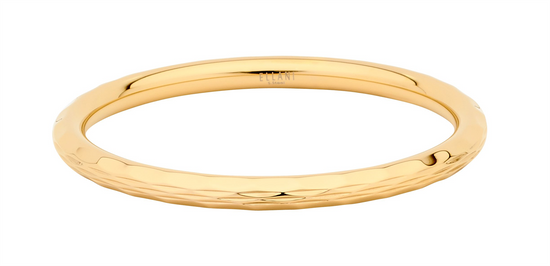 Ellani Stainless Steel Gp Tube Bangle