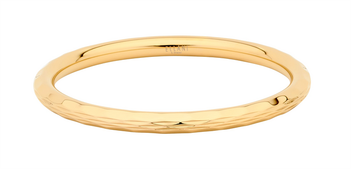 Ellani Stainless Steel Gp Tube Bangle
