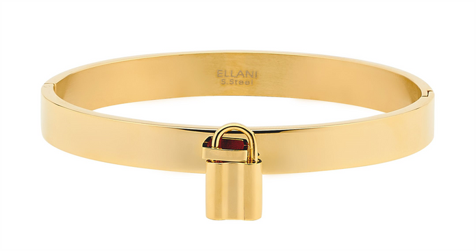 Ellani Stainless Steel 8mm Gp Padlock Bangle