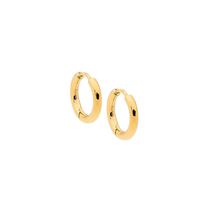 Ellani Se172g-15 Ellani Stainless Steel Ygp 15mm Huggie Earrings