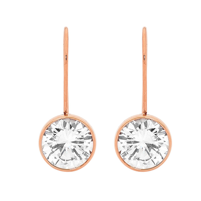 Ellani Stainless Steel Rgp Cz Bezel Drop Earrings