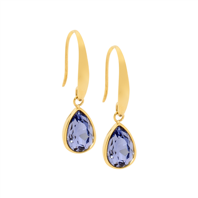 Ellani Stainless Steel Tear Drop Amethyst Glass Gp Earrings