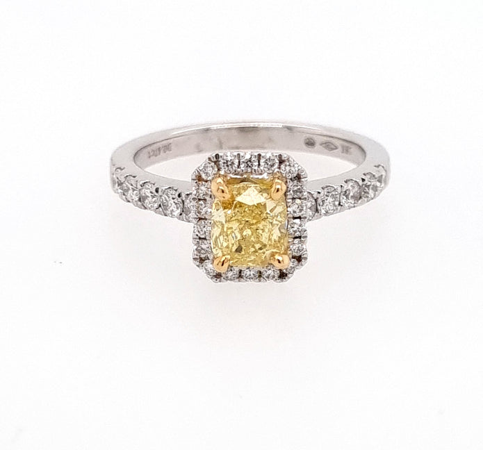 18ct Yellow and White Gold Halo Diamond Ring