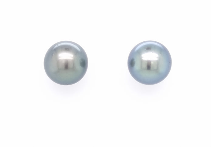 9ct White Gold 13-13.5mm Black Tahitian Pearl Stud Earrings